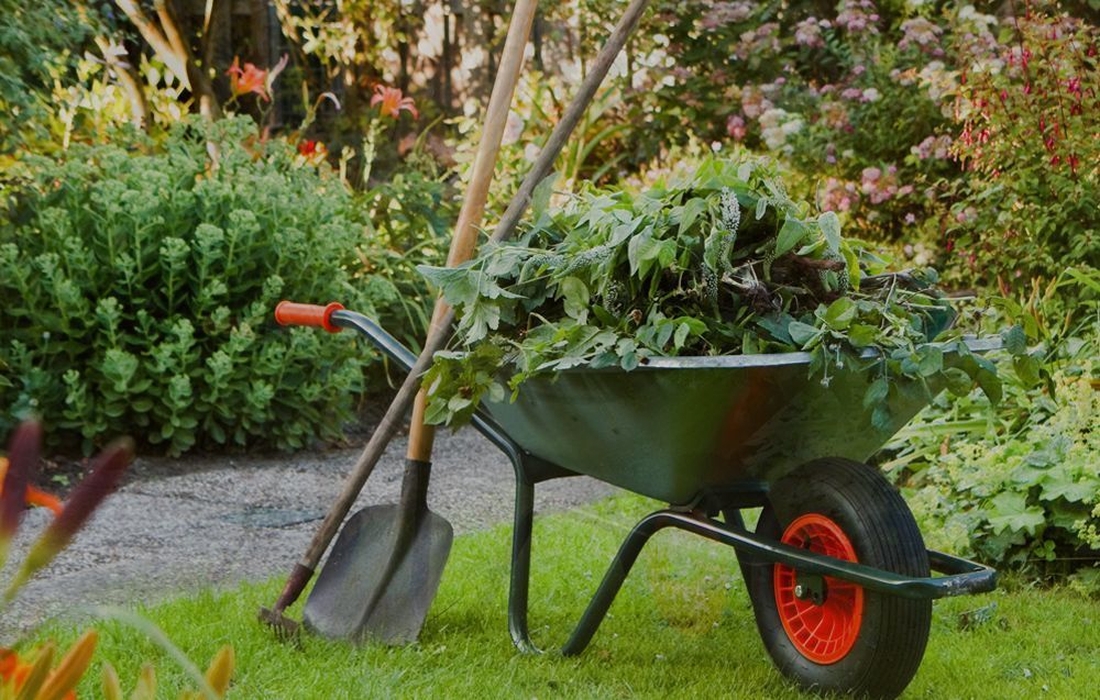 Professionelle Gartenpflege